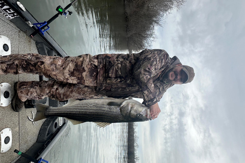 ناشفيل: رحلة صيد سمك القاروص الهجين والمخطط