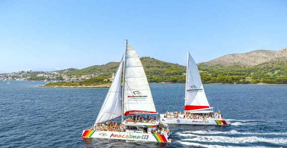 Port d&#39;Alcudia: Katamaran-Kreuzfahrt an der Nordküste mit Mahlzeit