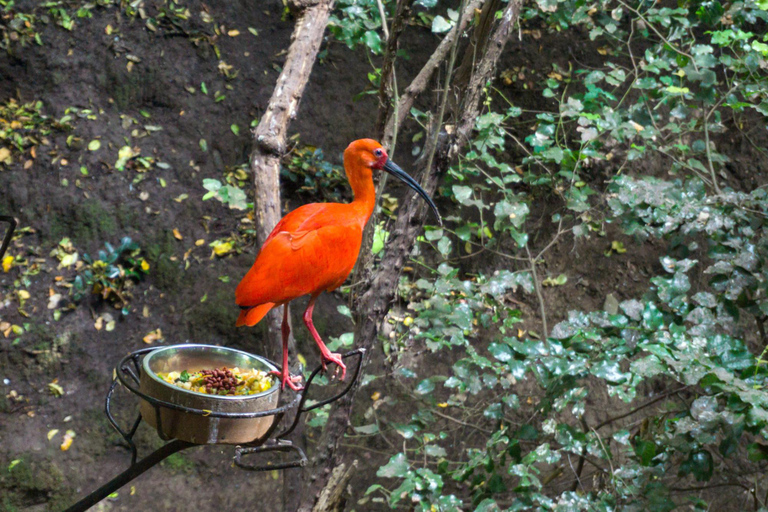 Santiago : Parc du Tricao, Isla Negra et maison de Pablo NerudaLieu de rendez-vous Plaza de Armas