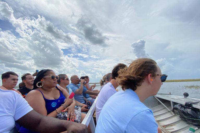 Miami: Everglades Airboat, Wildlife Show & Transfer Spanish