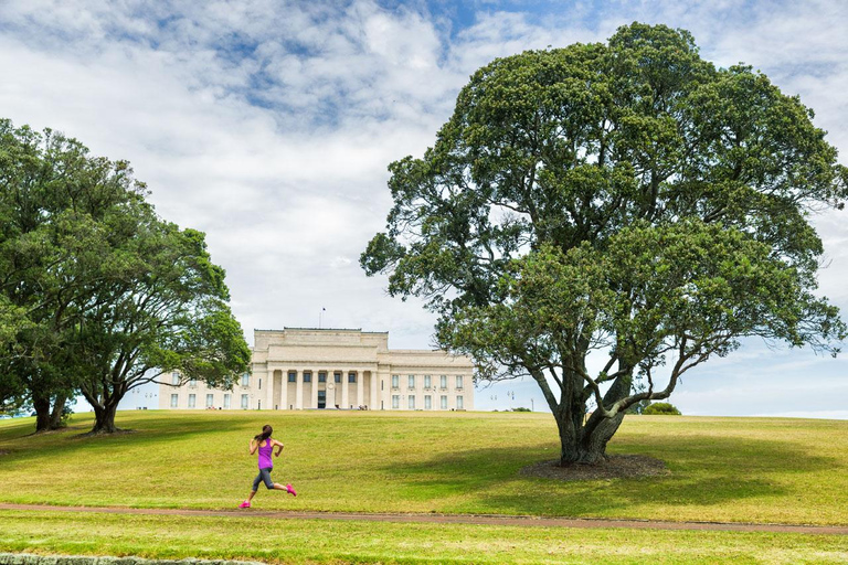 Visite d&#039;une jounée de la ville d&#039;Auckland et de la forêt tropicale en voiture