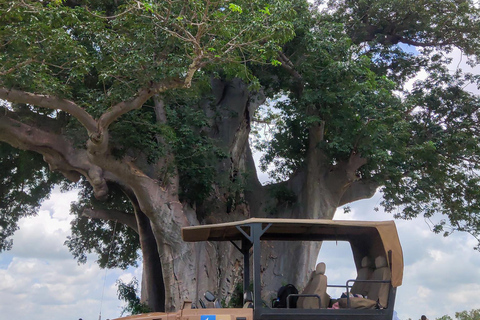 Depuis Zanzibar : Safari de nuit dans le Selous G.R. avec volssafari partagé