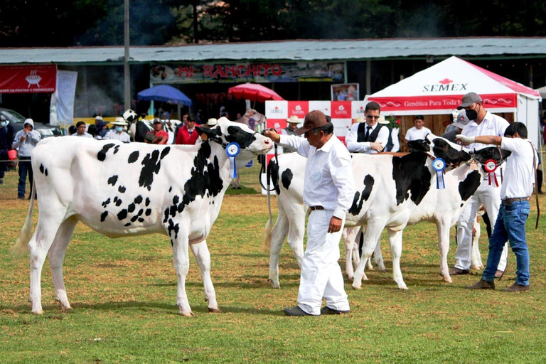 Cajamarca: La Colpa, Llacanora e Baños del Inca TourLa Colpa, Baños del Inca e Centri Artigianali - In spagnolo