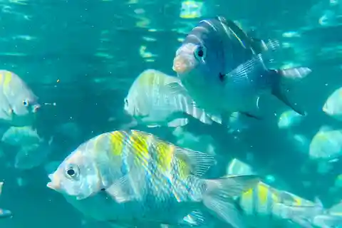 Descubre las Mejores Islas de Paraty en un Exclusivo Viaje en Goleta