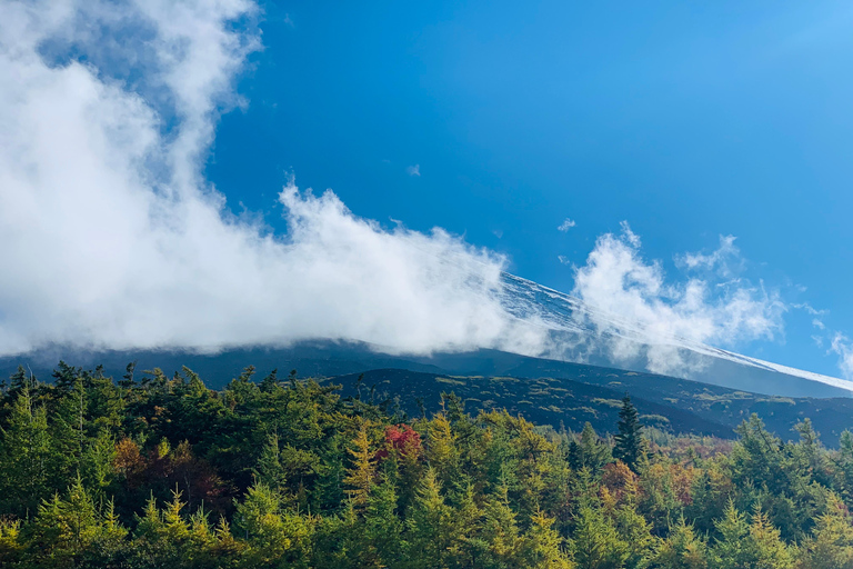 Privérondleiding op de berg Fuji en Hakone