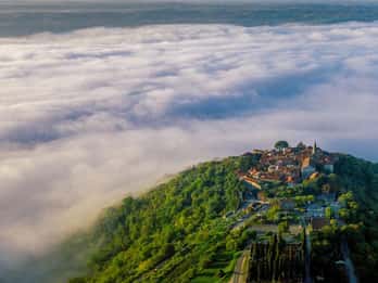Da Vrsar-Poreč : Escursione a Montona e Grisignana