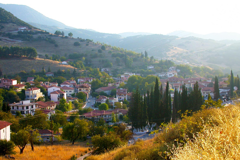 VIP Day Tour From Athens: Mt. Helmos National Park Exploring Kalavryta Village & Tsivlos Lake Trek