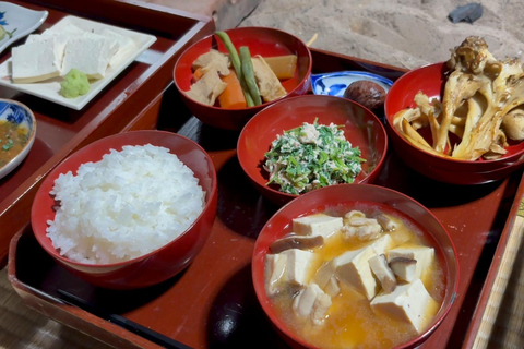 Kanazawa: Day Trip to Traditional Remote Mountain Village