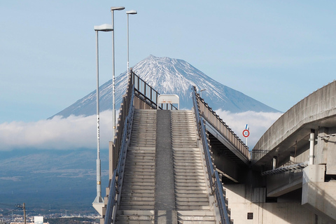 Från Tokyo: Mount Fuji Highlight Photo Spots heldagstur