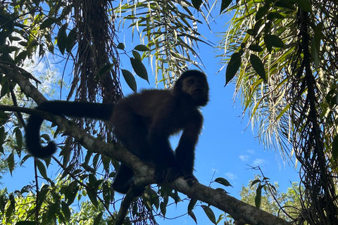 Iguaçu-vattenfallen Privat tur Brasilien och Argentinska sidan