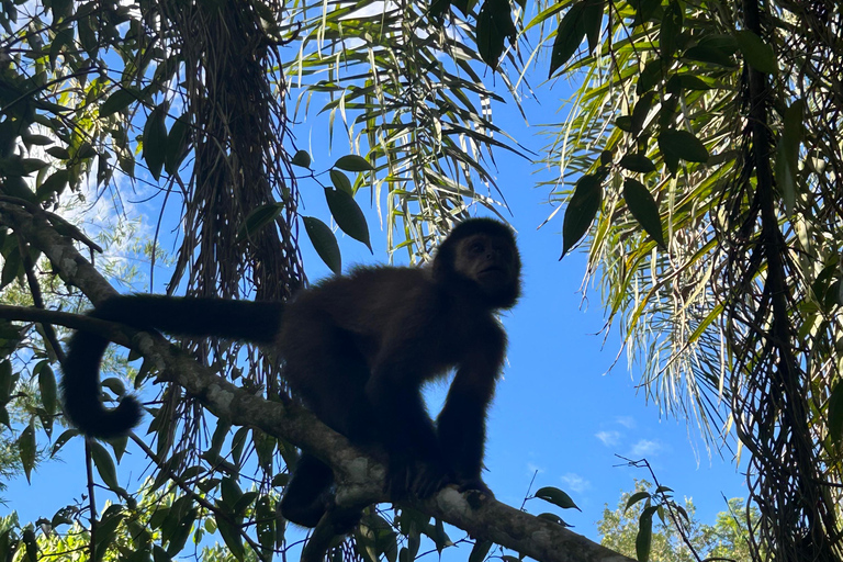 Iguaçu-vattenfallen Privat tur Brasilien och Argentinska sidan