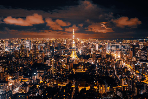 From Tokyo: Tokyo City One-Day Private Tour with Guide