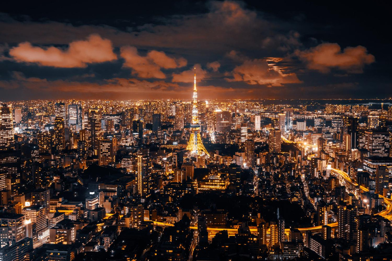 From Tokyo: Tokyo City One-Day Private Tour with Guide