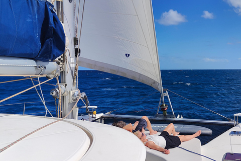 Tenerife: PRIVATE Catamaran cruise with Lunch and Drinks