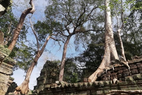 Angkor Wat Bayon Ta Prohm-tempel gedeelde rondleiding