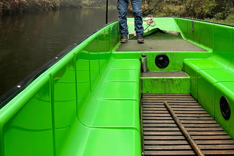 Dresden: Bohemian & Saxon Switzerland Private Full-Day Tour