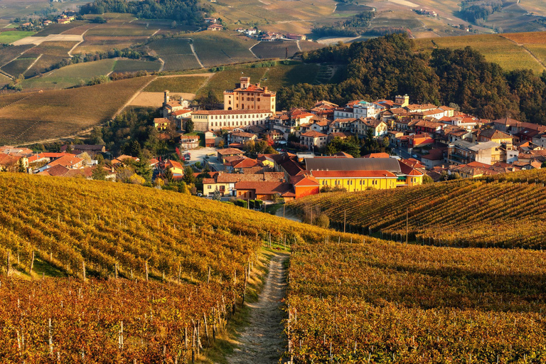 Z Mediolanu: Degustacja wina Barolo, zwiedzanie Alby i wizyta w zamku