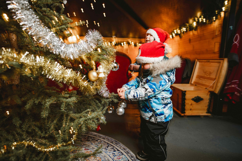 Levi：Arcandia，精灵法庭/日光和公园/黑暗精灵法庭：3 小时体验和公园之旅