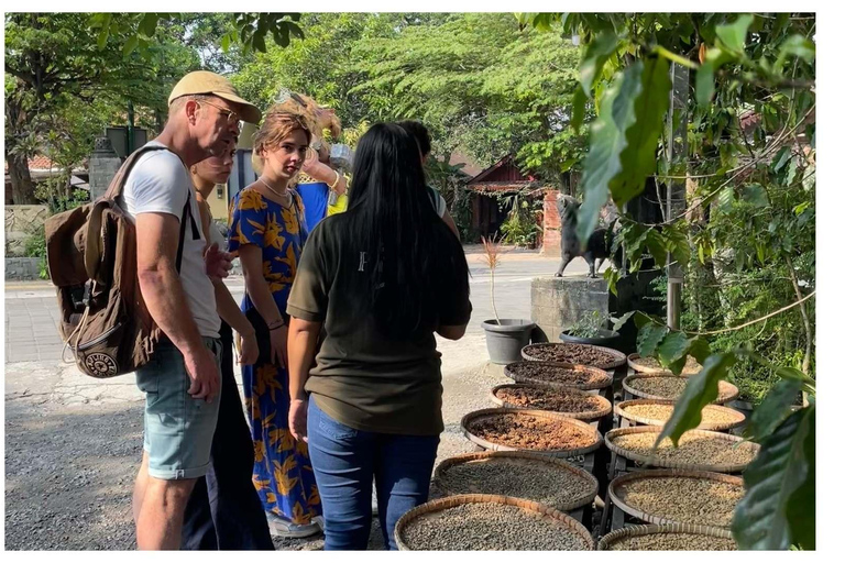 Tour particular pela fabricação de batik e pela vila de Borobudur