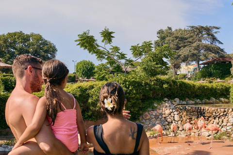 Palafolls: Marineland Dolphinarium and Water Park Tickets
