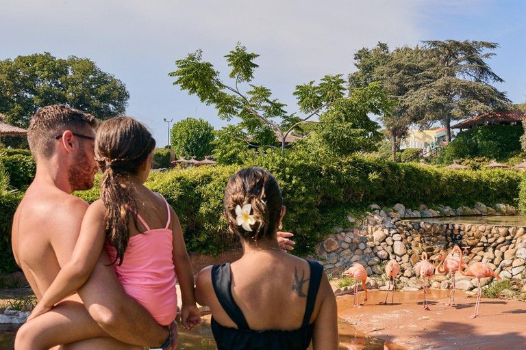 Palafolls: Marineland Dolphinarium and Water Park Tickets