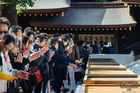 Tokio in 4 Stunden (Meiji Jingu, Harajuku, Shibuya, Shijuku)