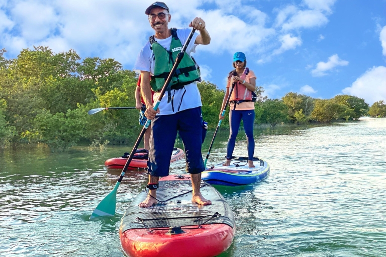 SUP Exploration de la mangrove à Purple Island