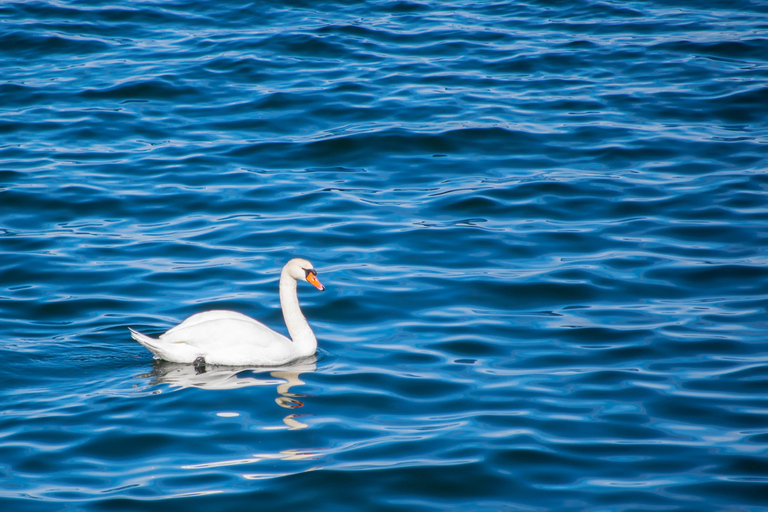 From Helsinki: Guided Tour of Porkkalanniemi Peninsula