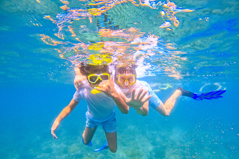 Diani Dhow Adventure to Wasini Island - Kisite Marine Park Dhow Adventure to Wasini Island incl. Kisite Marine Park fee