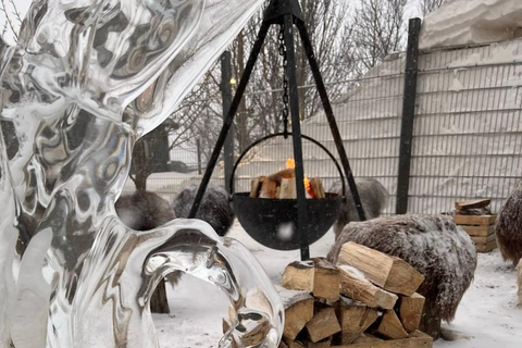 Reykjavík: Husky Kennel Visit with Hot Drinks