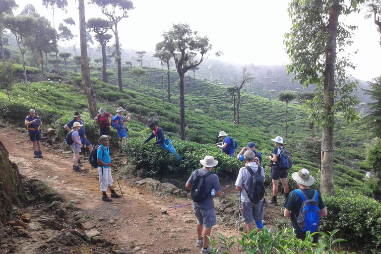 Trekking z Kandy do Ella