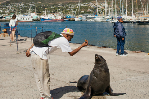Cape Town: Private Tour with Customizable Itinerary