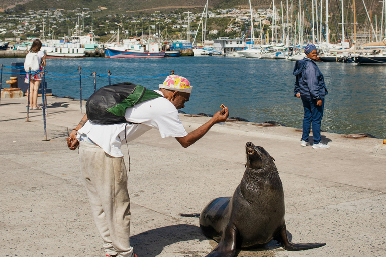Cape Town: Private Tour with Customizable Itinerary