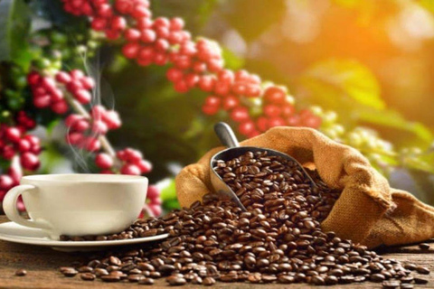 Nairobi: Tour della fabbrica e della fattoria del caffè con trasferimento