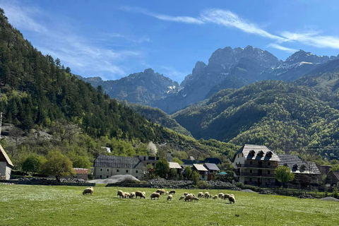 Tirana: Excursão de um dia aos Alpes Albaneses e ao vilarejo de Theth com almoço