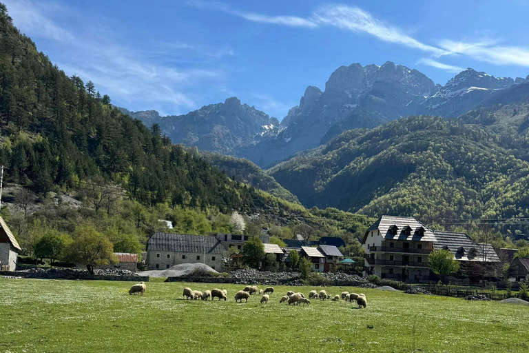 Tirana: Albanska Alperna och Theth Village Dagsutflykt med lunch