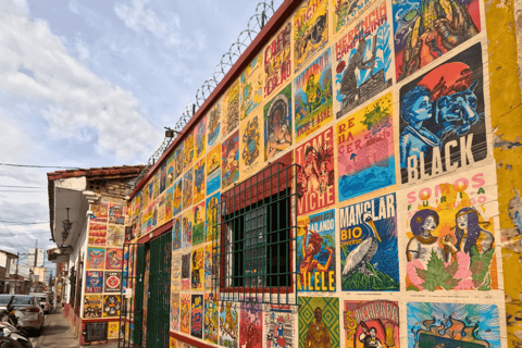 SALSA VISUAL EN CALISALSA VISUAL EN CALI con TARDEO EN CASA ANTONIA