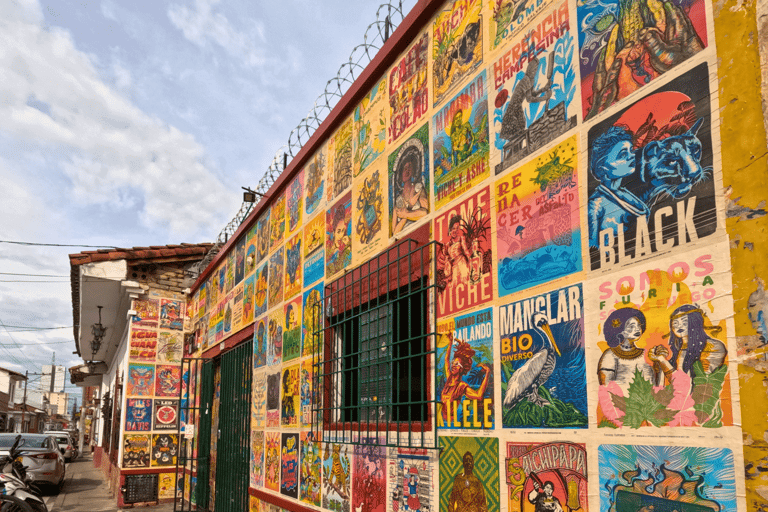 SALSA VISUAL EN CALISALSA VISUAL EN CALI con TARDEO EN CASA ANTONIA