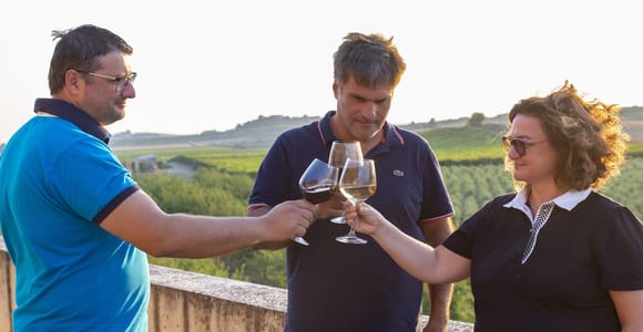 Agrigento: Valley of the Temples Tour and Wine Tasting