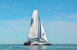 Saint-Martin-de-Ré : Island coasts in the wind's sway (2h)