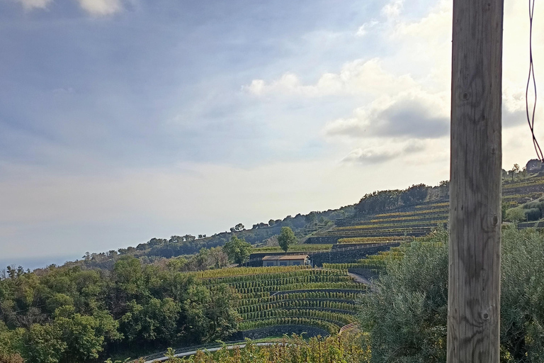 Tour de l&#039;Etna sud avec trekking léger, dégustation de vins et déjeuner