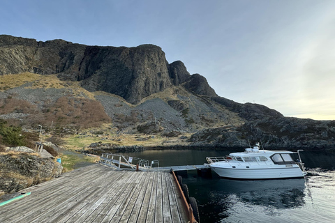 Bergen: Sea Safari with fishing and hauling of crab pots