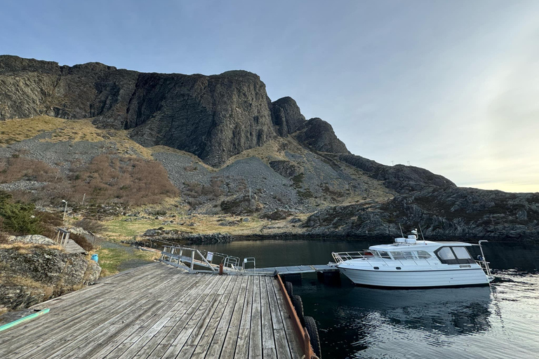 Bergen: Sea Safari with fishing and hauling of crab pots