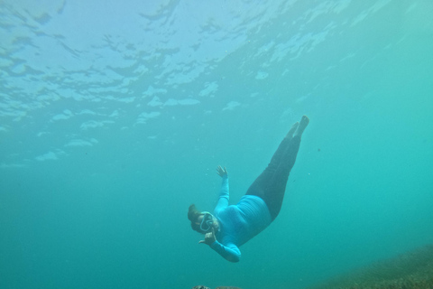 Manly Beach Guided Snorkeling Tours Open Group Tour