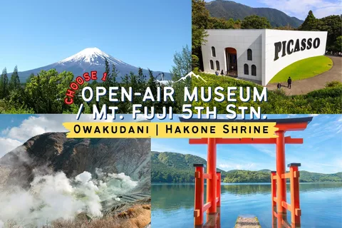 Tokyo: Mt. Fuji, Owakudani, Hakone Shrine, & Open-Air Museum