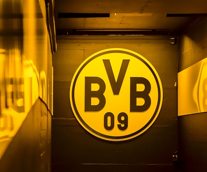Dortmund: tour senza guida del BVB Signal Iduna Park