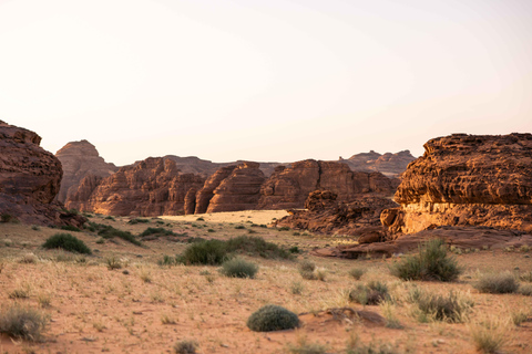 AlUla: Sharaan Platinum Lunch SafariAlUla: Sharaan Platinum Lunch Safari Shared Car