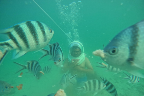 Zanzíbar: Aventura Sea Walk desde Kendwa y Nungwi