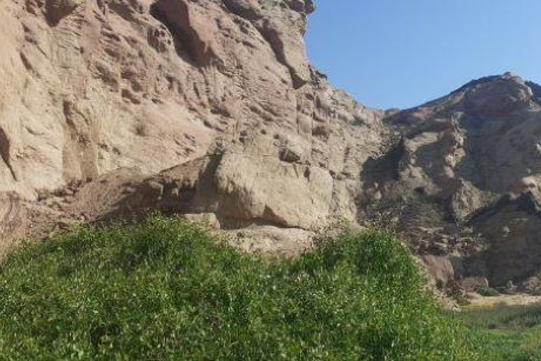 Walvis Bay: Cruiseliner Excursions