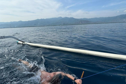 North Bali: Dolphin Swim, Snorkeling, & Waterfall Cliff Jump Small Group With Hotel Transfer Central Bali